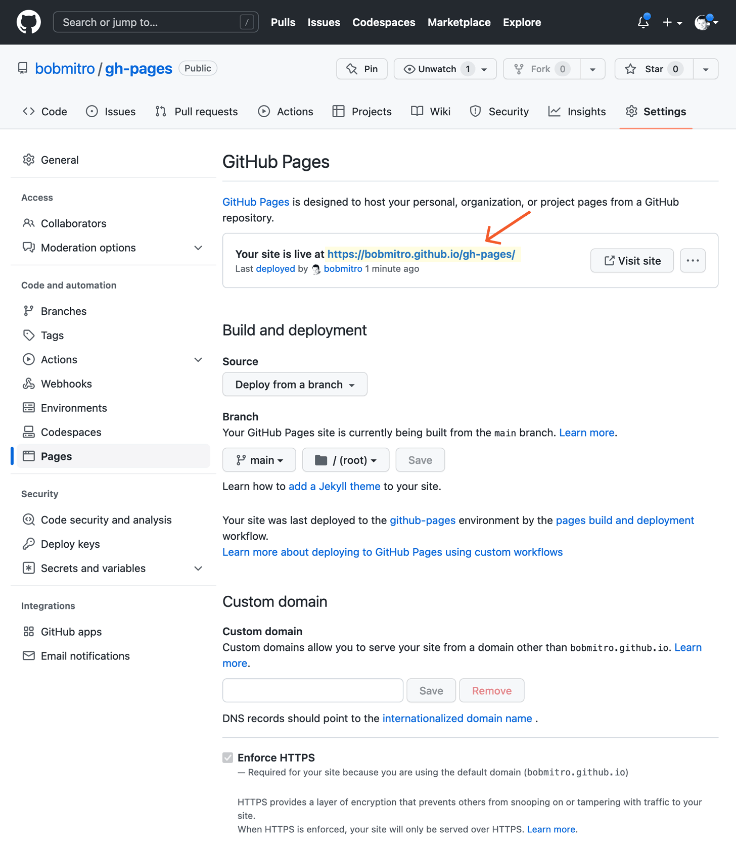 GitHub Pages URL