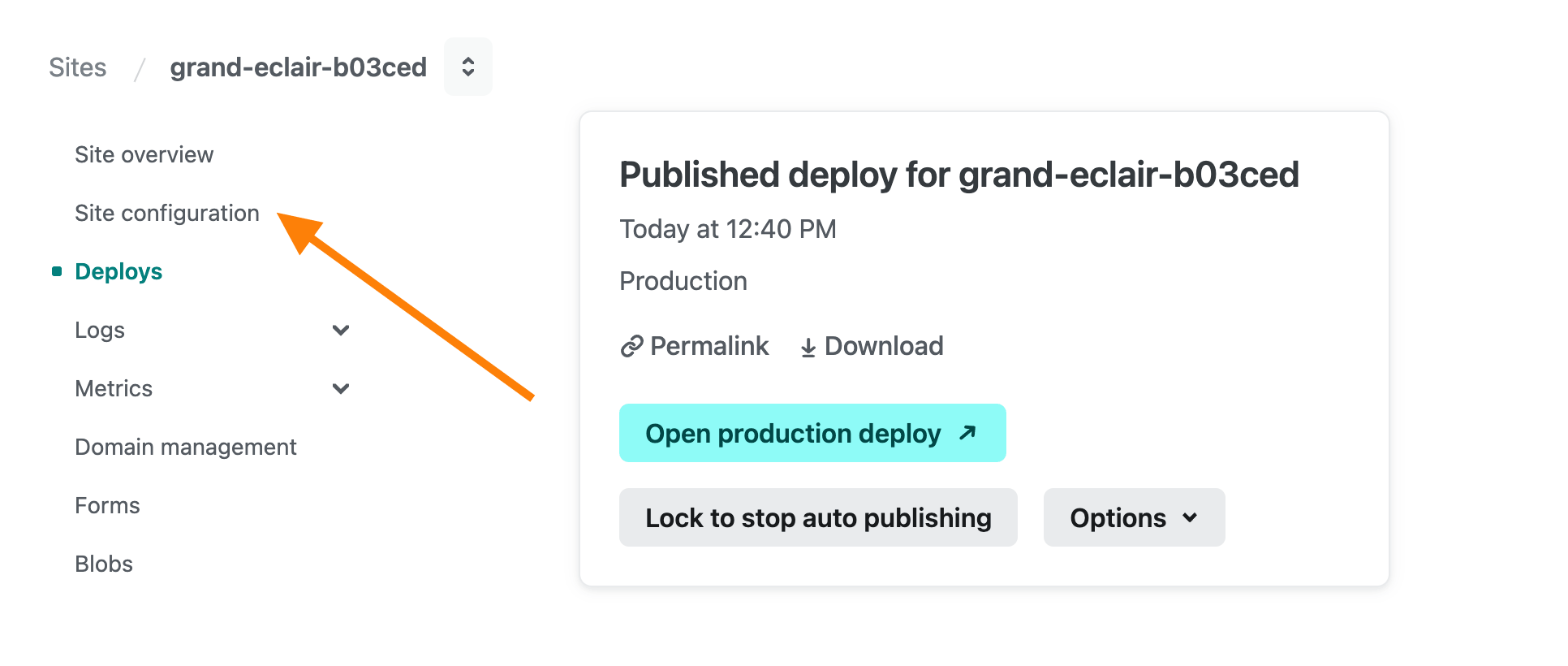 Netlify Website Settings